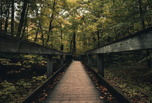 Load image into Gallery viewer, Individual 1