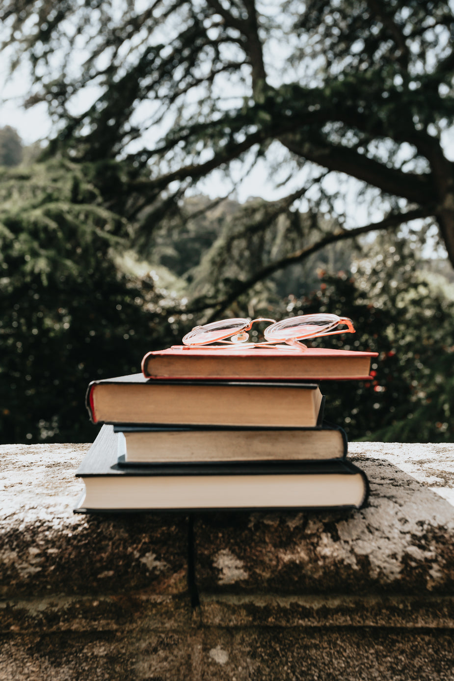 Literary Skills for Readers - Mondays, Wednesdays or Thursdays